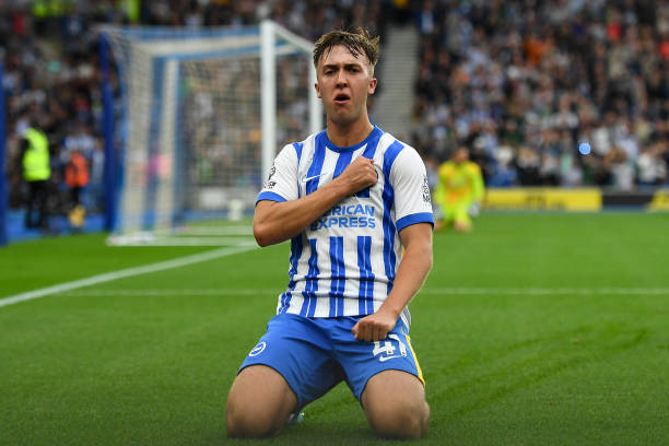 是迈阿密国 是迈阿密国